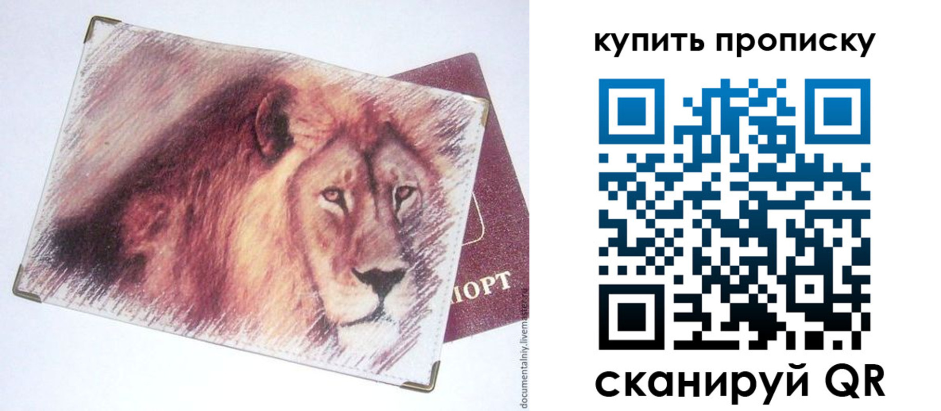 прописка паспорт в Стародубе